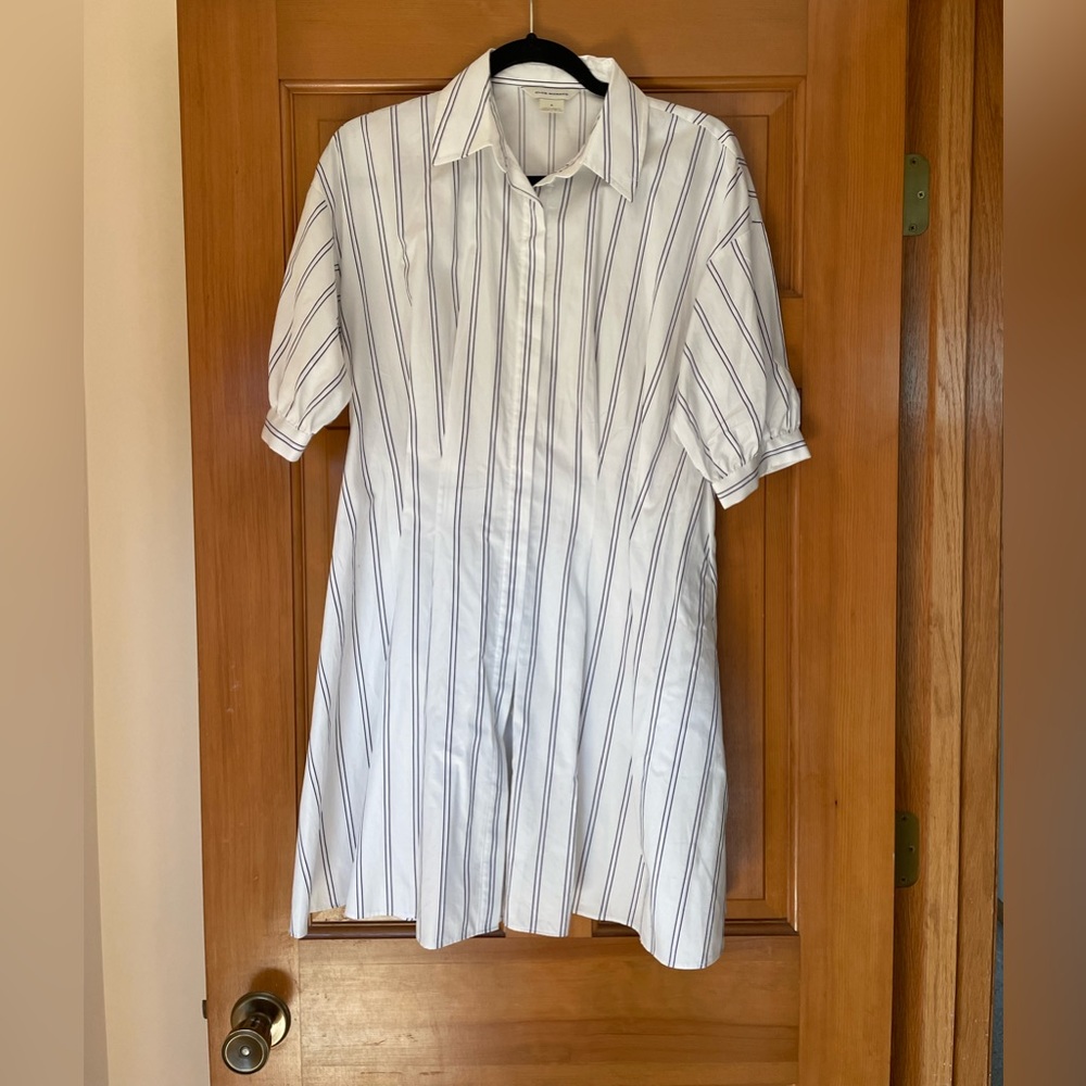 Club Monaco dress